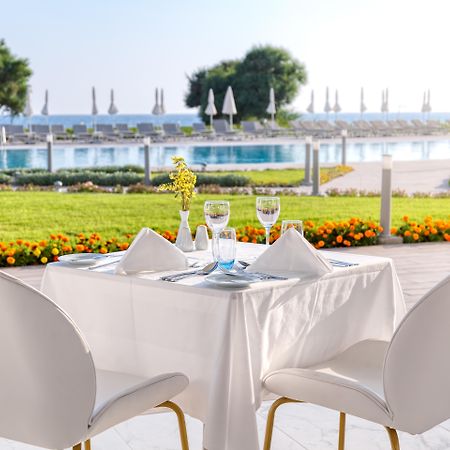 Ivi Mare - Designed For Adults By Louis Hotels Geroskipou Eksteriør billede The resort's pool